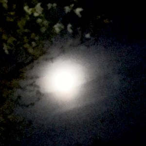 fjbweykfrhg8qsiof546bq_thumb_f32