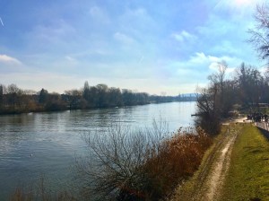 unadjustednonraw_thumb_1415