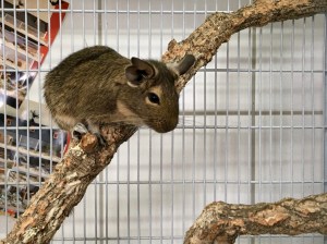 krQ4+pOwT9ySr+RvKrnklg_thumb_19e0